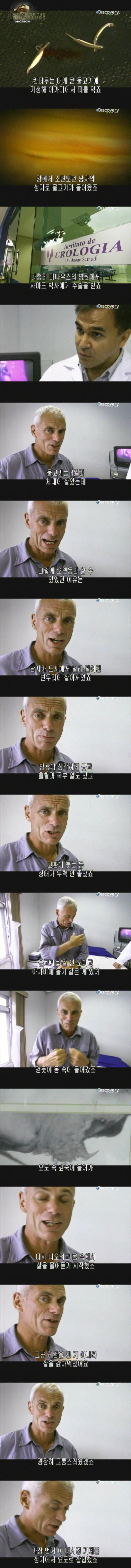 강에서 오줌 싸다가 ㅈ됨.jpg | 인스티즈