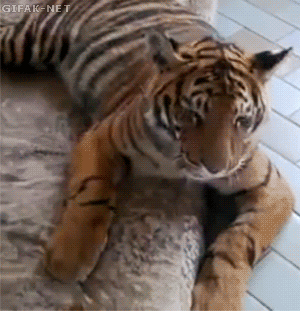 뜻밖의 시리즈.gif | 인스티즈