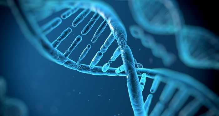 생각보다 우리 신체에서 후천적 영향이 적고 유전이 다하는 것들.jpg | 인스티즈