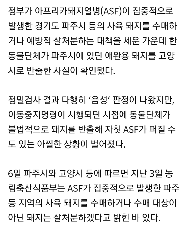 돼지열병이 집중적으로 발생한 파주에서 애완용 돼지 반출한 동물단체.news | 인스티즈