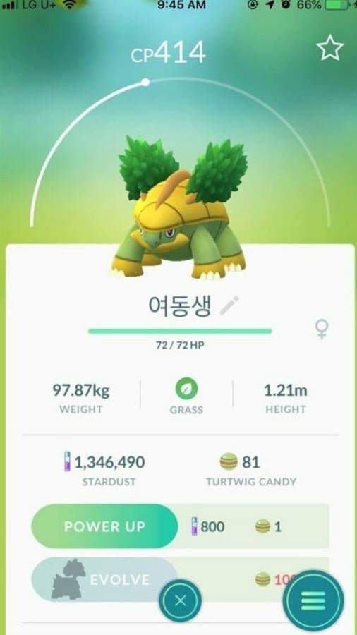 여동생을 포켓몬으로 비유 | 인스티즈