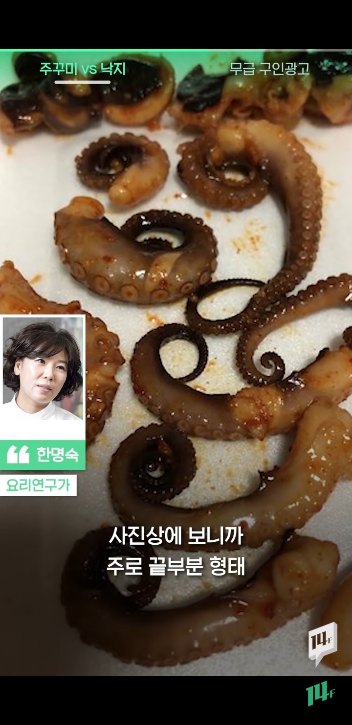 얼마전 낙지냐 쭈꾸미냐 논쟁의 전문가 의견 | 인스티즈