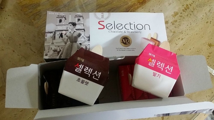 어릴때 하루에 하나씩만 꺼내 먹을수 있었던 고급 아이스크림들.jpg | 인스티즈