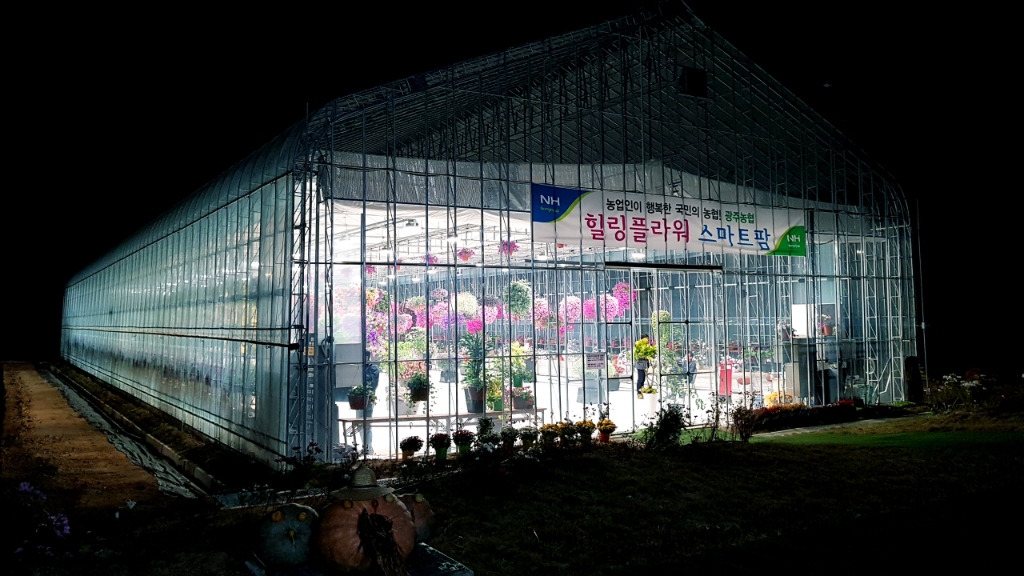 우리나라에서 광주에만 있는 특이한 공간 | 인스티즈