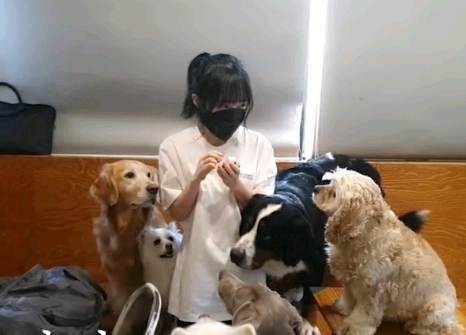 사람들은 왜 23살 bj쏘대장에게 "아가"라고 부르는 것일까? | 인스티즈