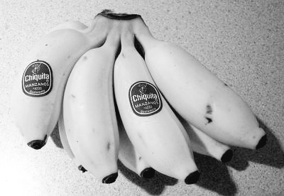 속보) 고급 수입산 과일 바나나 대한민국에 수입 진행 중 | 인스티즈