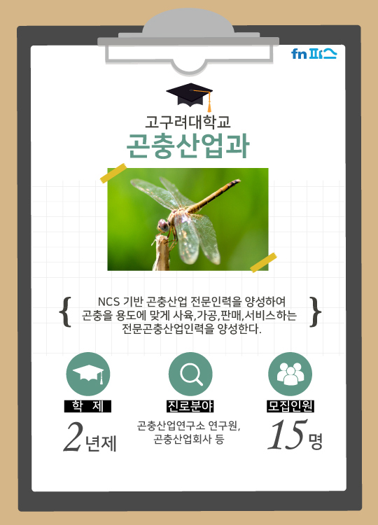 국내의 이색학과들 | 인스티즈