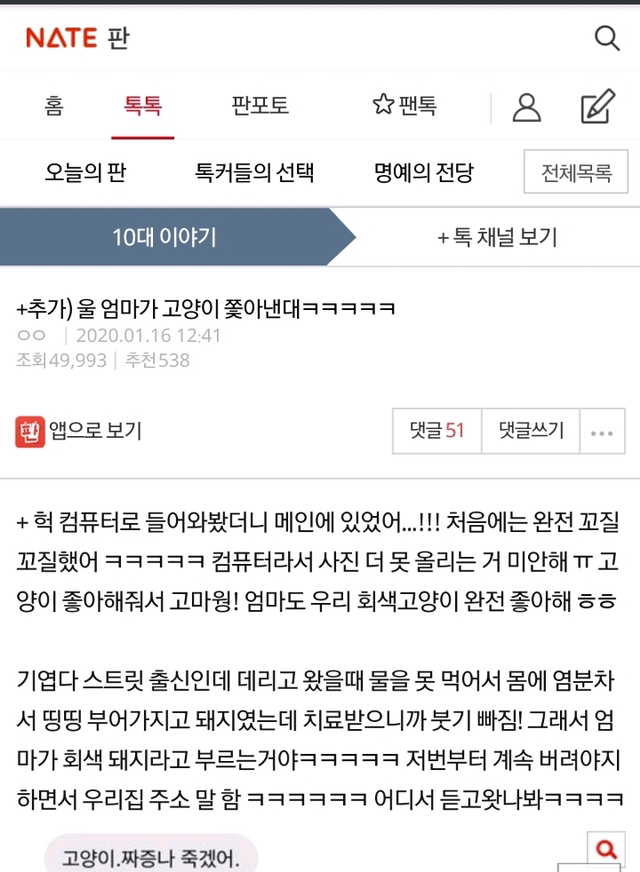 우리엄마가 고양이 쫓아낸대 | 인스티즈