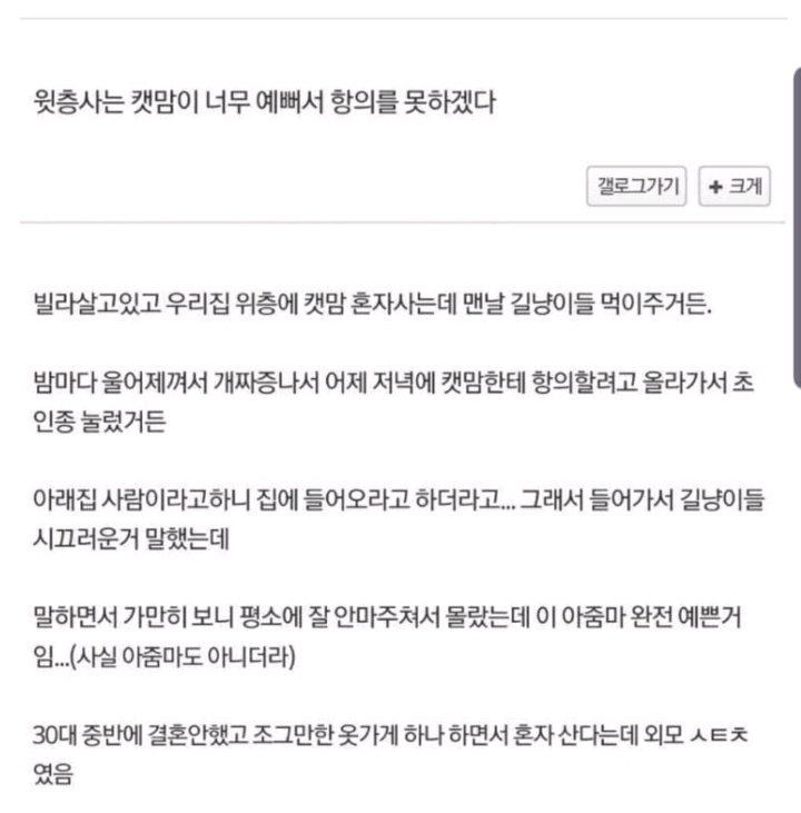 윗층사는 캣맘이 너무 예뻐서 항의를 못하겠다 | 인스티즈