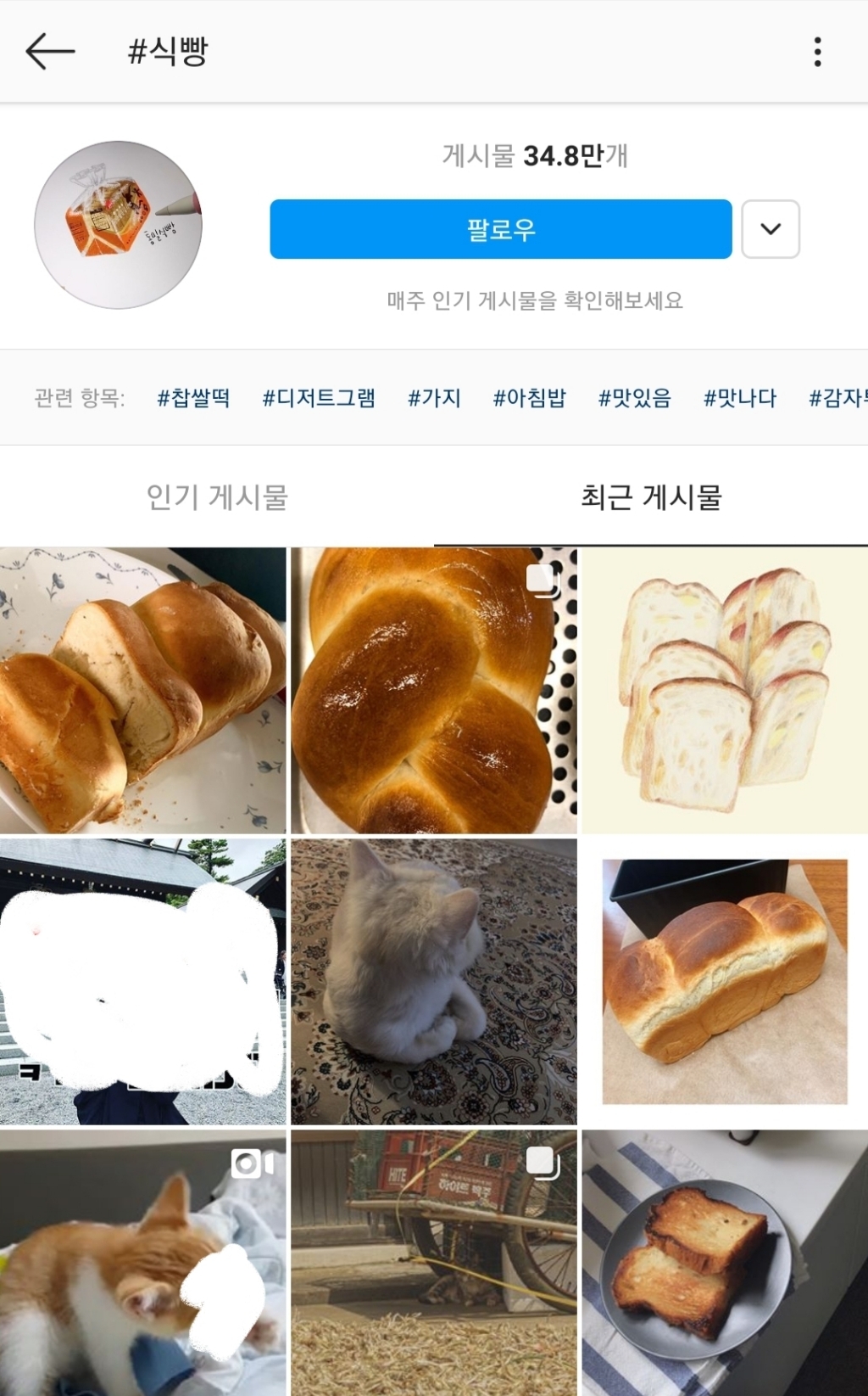 강아지 고양이 키울 때 은근히 많이 짓는 이름..........jpg | 인스티즈