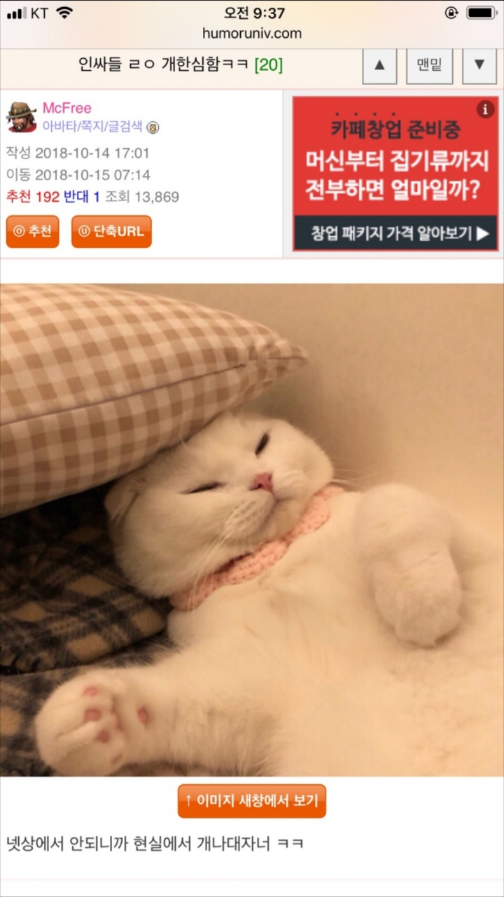 인싸들 ㄹㅇ개한심함ㅋㅋ | 인스티즈