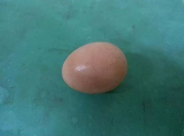 군필 눈에는 계란 후라이.jpg | 인스티즈