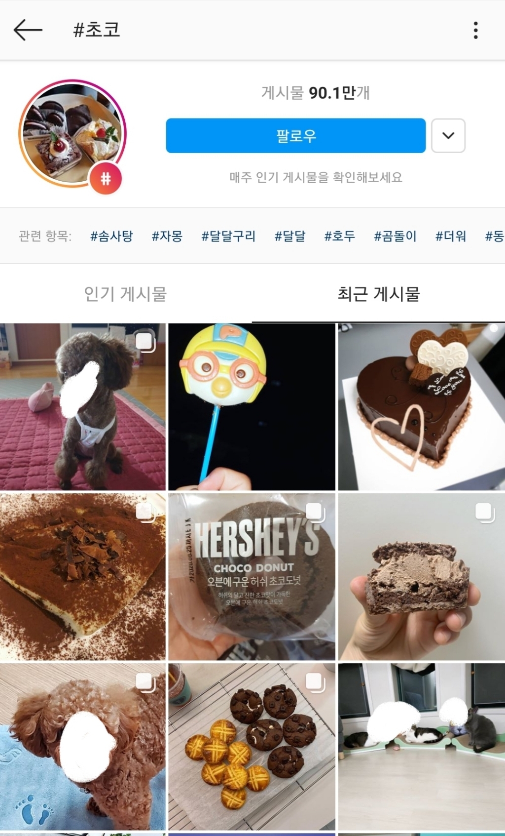 강아지 고양이 키울 때 은근히 많이 짓는 이름..........jpg | 인스티즈