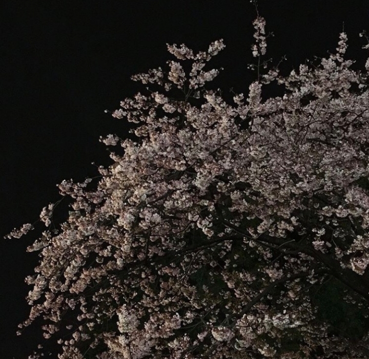 네 이름 한번 부를 일 없는 올 한해가 지나갔다 | 인스티즈