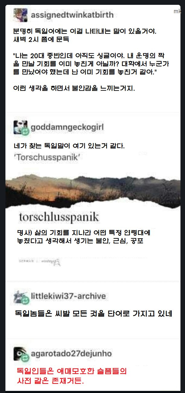 모든 것을 단어로 가지고 있는 독일인들 | 인스티즈