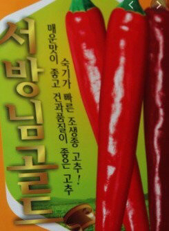 재미있는 고추 품종 이름들 | 인스티즈