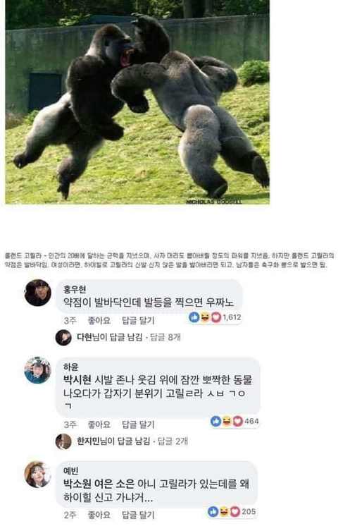동물과 싸워서 이기는 방법ㅋㅋㅋㅋㅋㅋㅋㅋㅋㅋㅋㅋㅋㅋㅋㅋ | 인스티즈