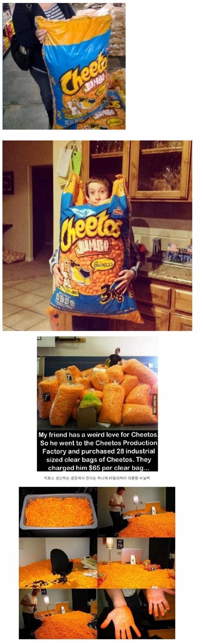 천조국의 인간사료 | 인스티즈