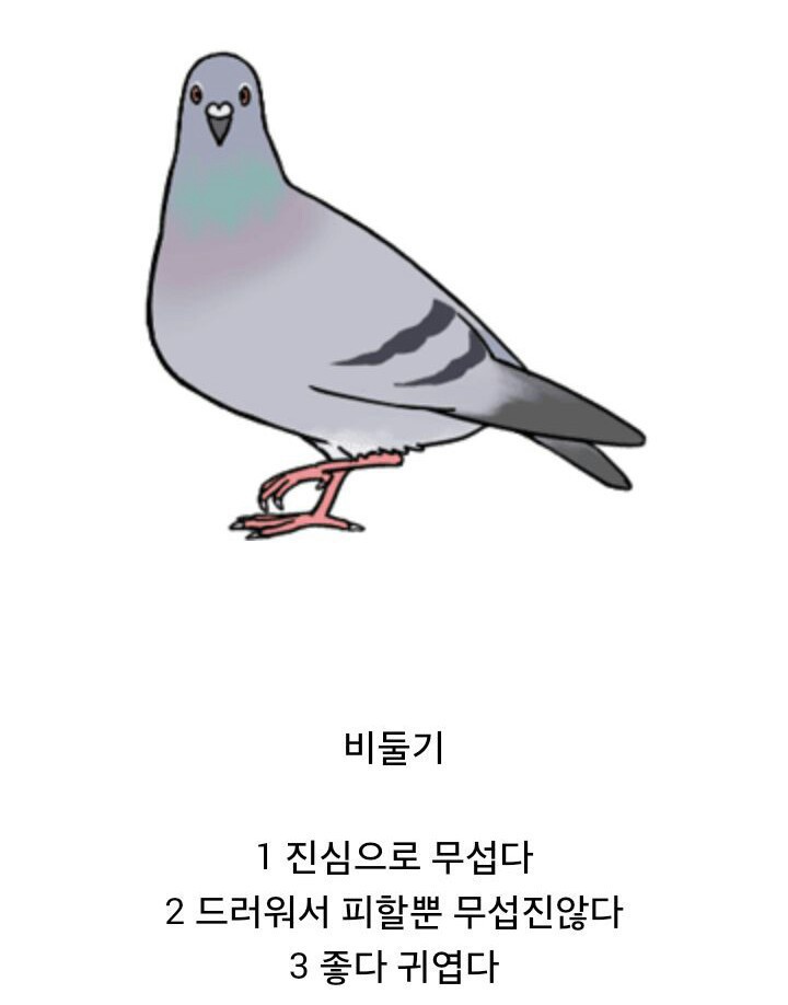 진심으로 무섭다 vs 걍 드러워서 피한다로 나뉘는 동물 | 인스티즈