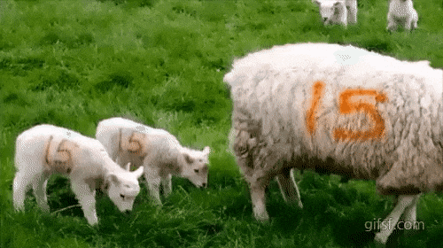 엄마 나 젖 좀.gif | 인스티즈