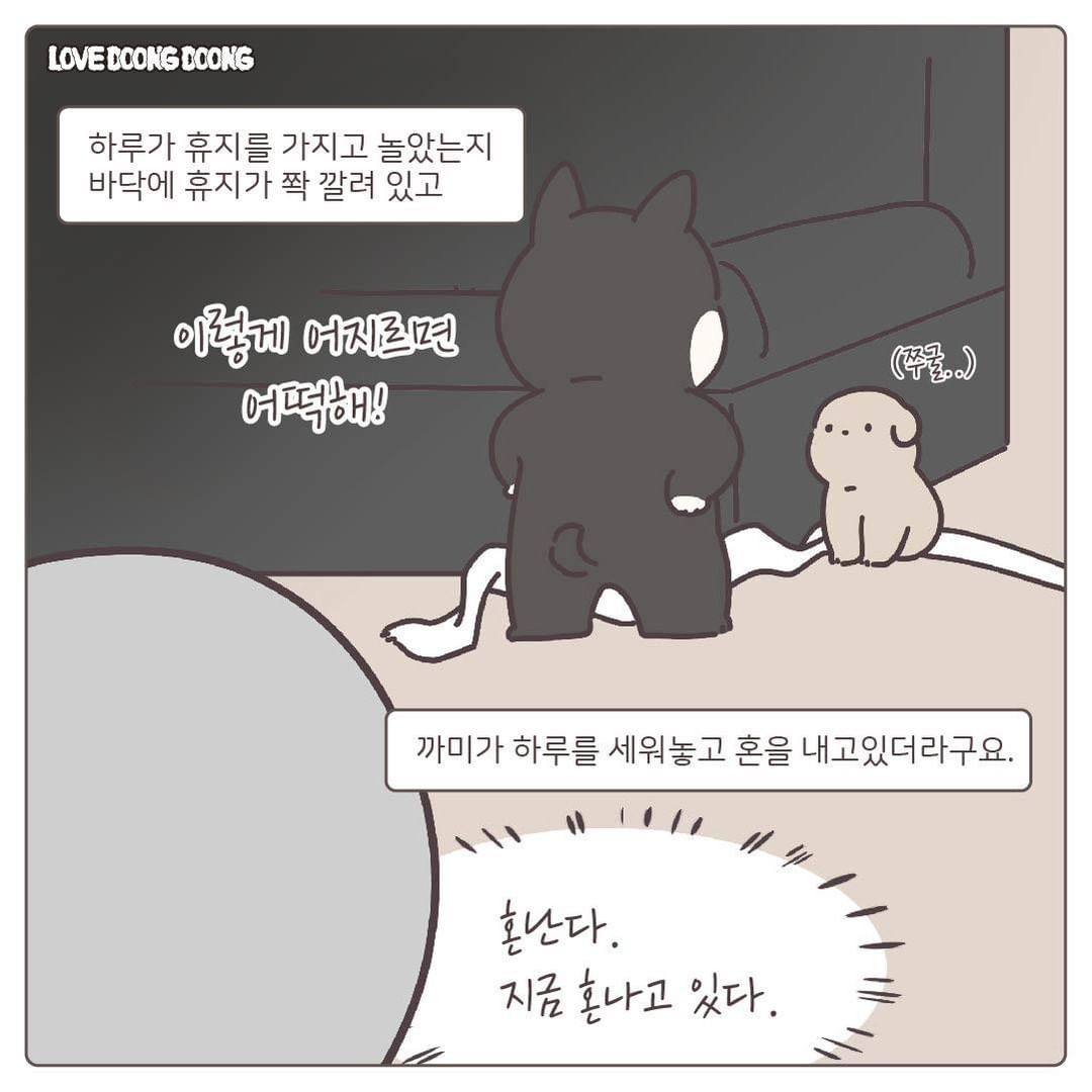 태어나서 처음 잔소리를 들은 댕댕이.jpg | 인스티즈