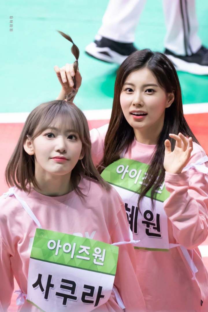 아이즈원 미야와키 사쿠라 랜덤짤 46 | 인스티즈