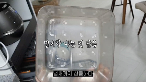 식기세척기 쌍욕나오는 계란찜 닦는 근황 | 인스티즈