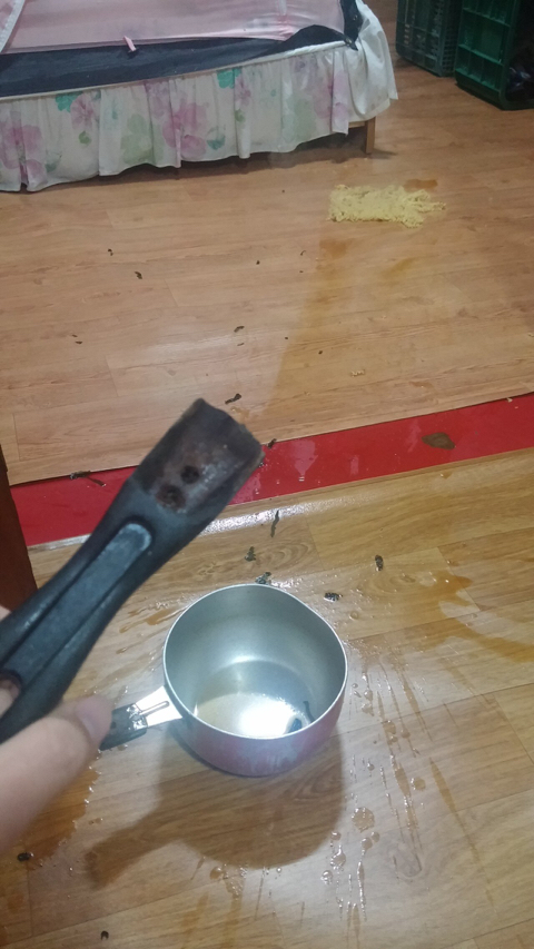 첫 포텐 도전하는 펨코인.jpg | 인스티즈