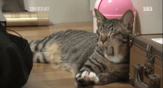 7d04a47370d1200e97c818738b12c78693372799