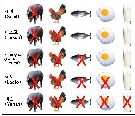 채식주의 종류 | 인스티즈