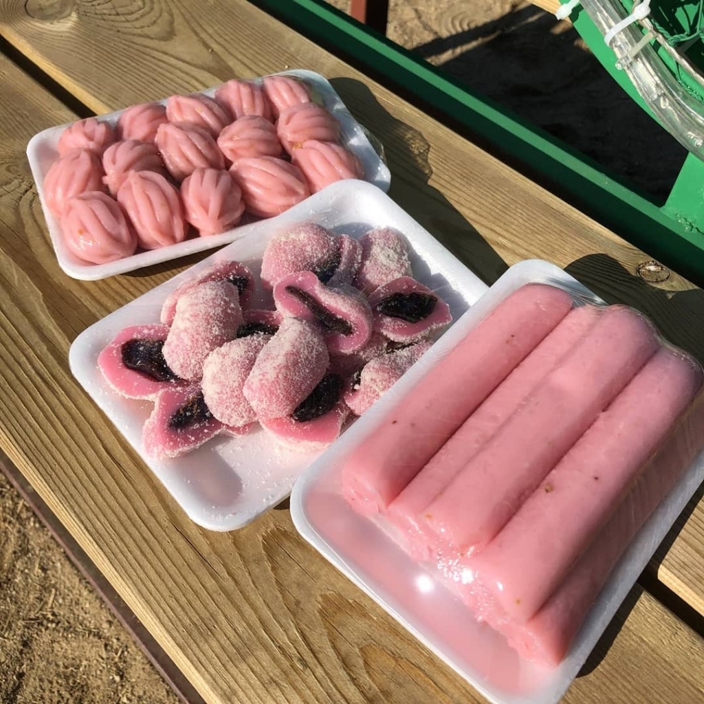 코로나 때문에 취소됐다는 논산딸기축제.......jpg | 인스티즈