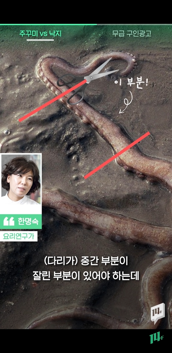 얼마전 낙지냐 쭈꾸미냐 논쟁의 전문가 의견 | 인스티즈