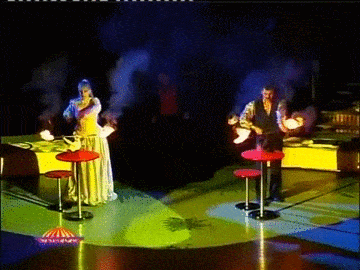 사료값버는 고양이들 | 인스티즈