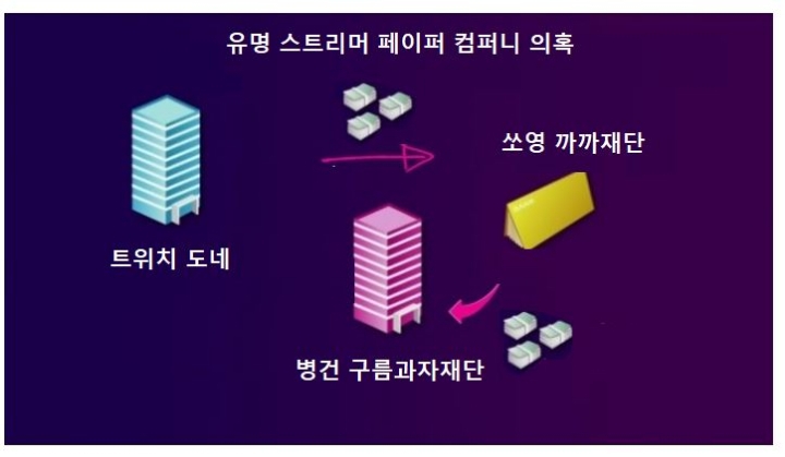 유명 스트리머 페이퍼 컴퍼니 의혹 | 인스티즈