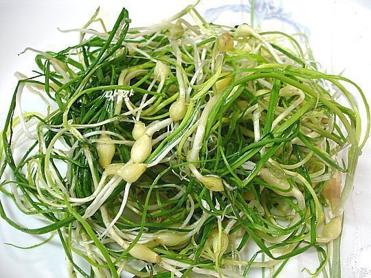 못먹는 사람은 절대로 못 먹는 음식 3대장 | 인스티즈