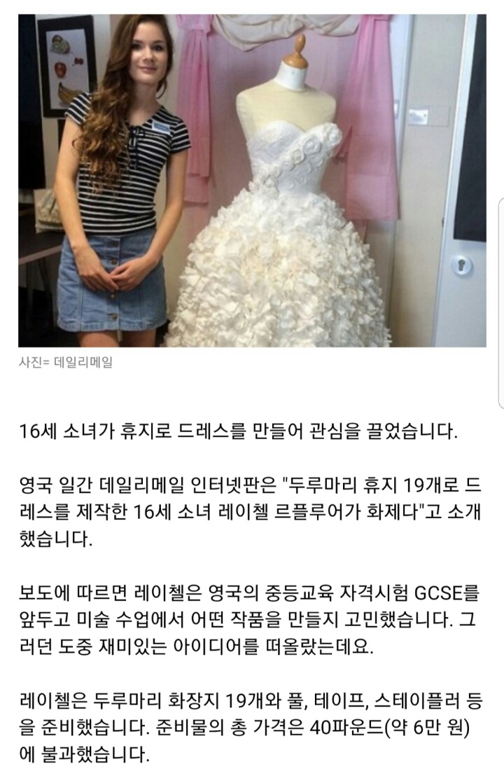 휴지로 만든 드레스 | 인스티즈