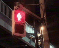 일본의 신호등 | 인스티즈