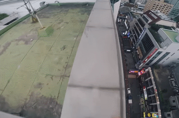 한국에 파쿠르 하러 왔다가 죽을 뻔한 외국인 | 인스티즈