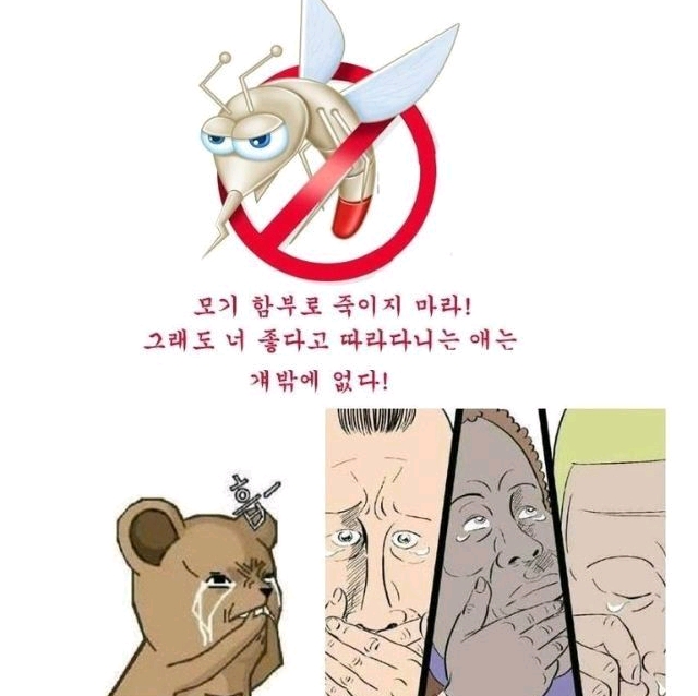 모기 죽이지마라 | 인스티즈