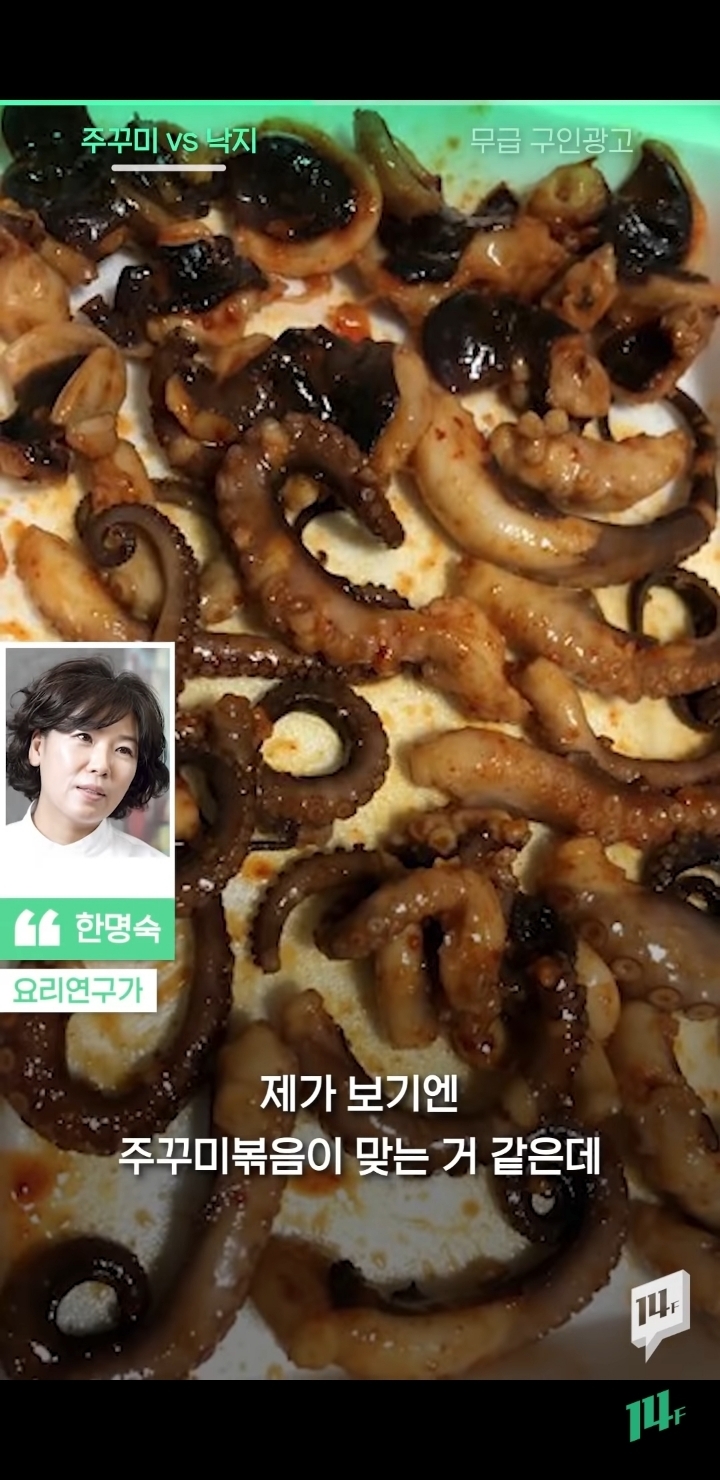 얼마전 낙지냐 쭈꾸미냐 논쟁의 전문가 의견 | 인스티즈