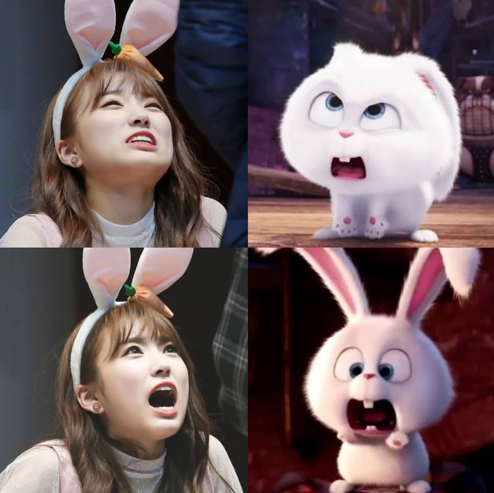 끼어버린 김나코ㅋㅋㅋㅋㅋㅋㅋㅋㅋㅋ (아이즈원) | 인스티즈