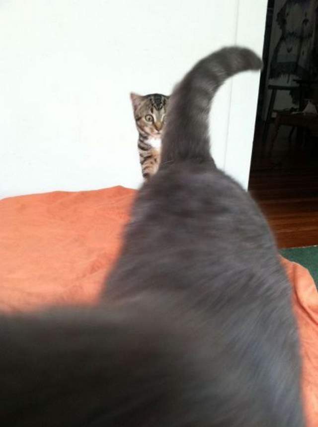 흑형은 역시 다르구나 | 인스티즈