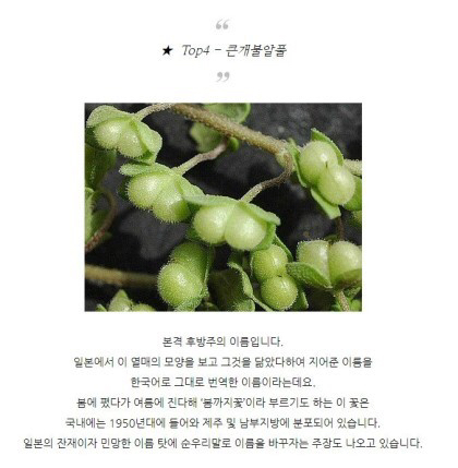 특이한 식물 이름 | 인스티즈