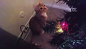 크리스마스 아침엔 역시 | 인스티즈