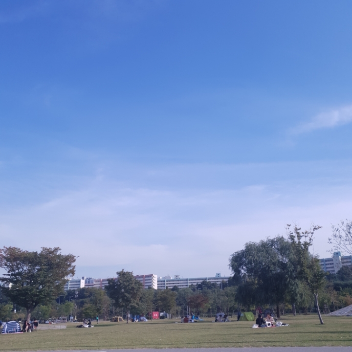 킹빠 이미지