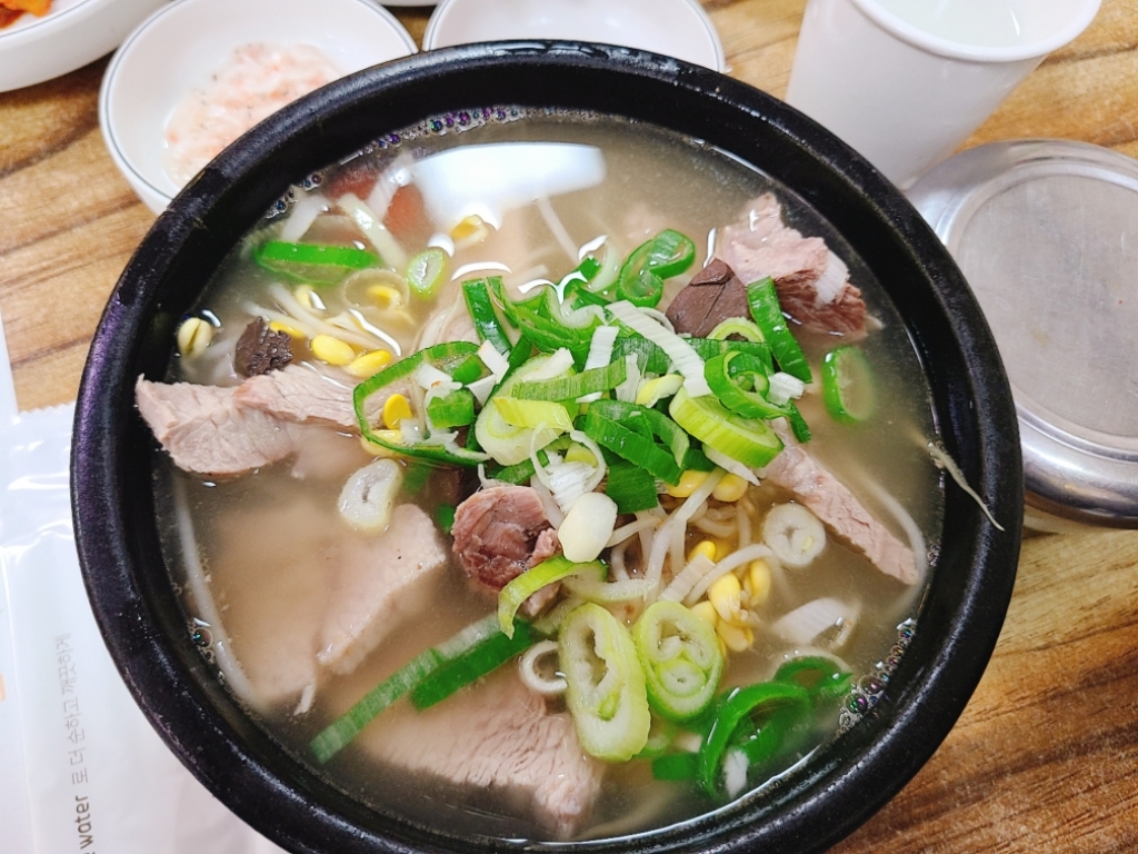 갤럭시s20+ 카메라로 찍은 사진 모음 | 인스티즈