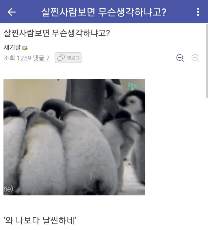 미쳐가는 다이어트 갤러리 | 인스티즈