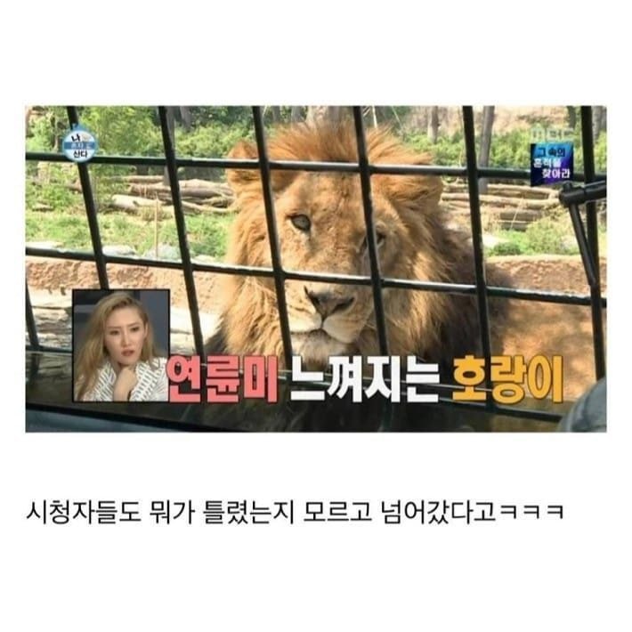 나혼자산다 어색하지 않았던 옥의티 | 인스티즈