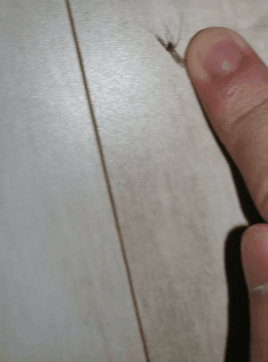 80b5acff699f85e1d8943d99ba5329297affd2b4