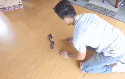 고양이가 영물이라 불리는 이유.....gif | 인스티즈